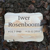 Friedwald und Rasenfeld