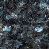 Laprador Blue Pearl
