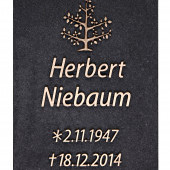 Urnennischen und Urnenstelen